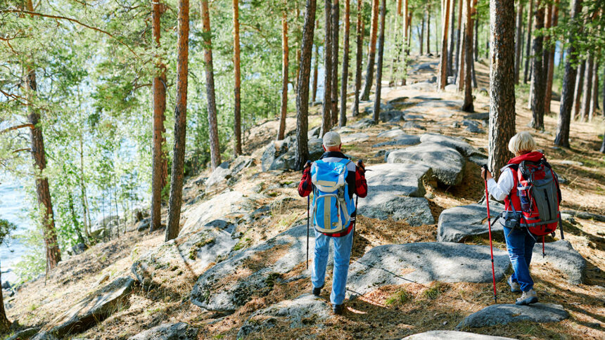 Türkiye'de En İyi Trekking Rotaları: Doğayla Bütünleşebileceğiniz En Güzel Parkurlar